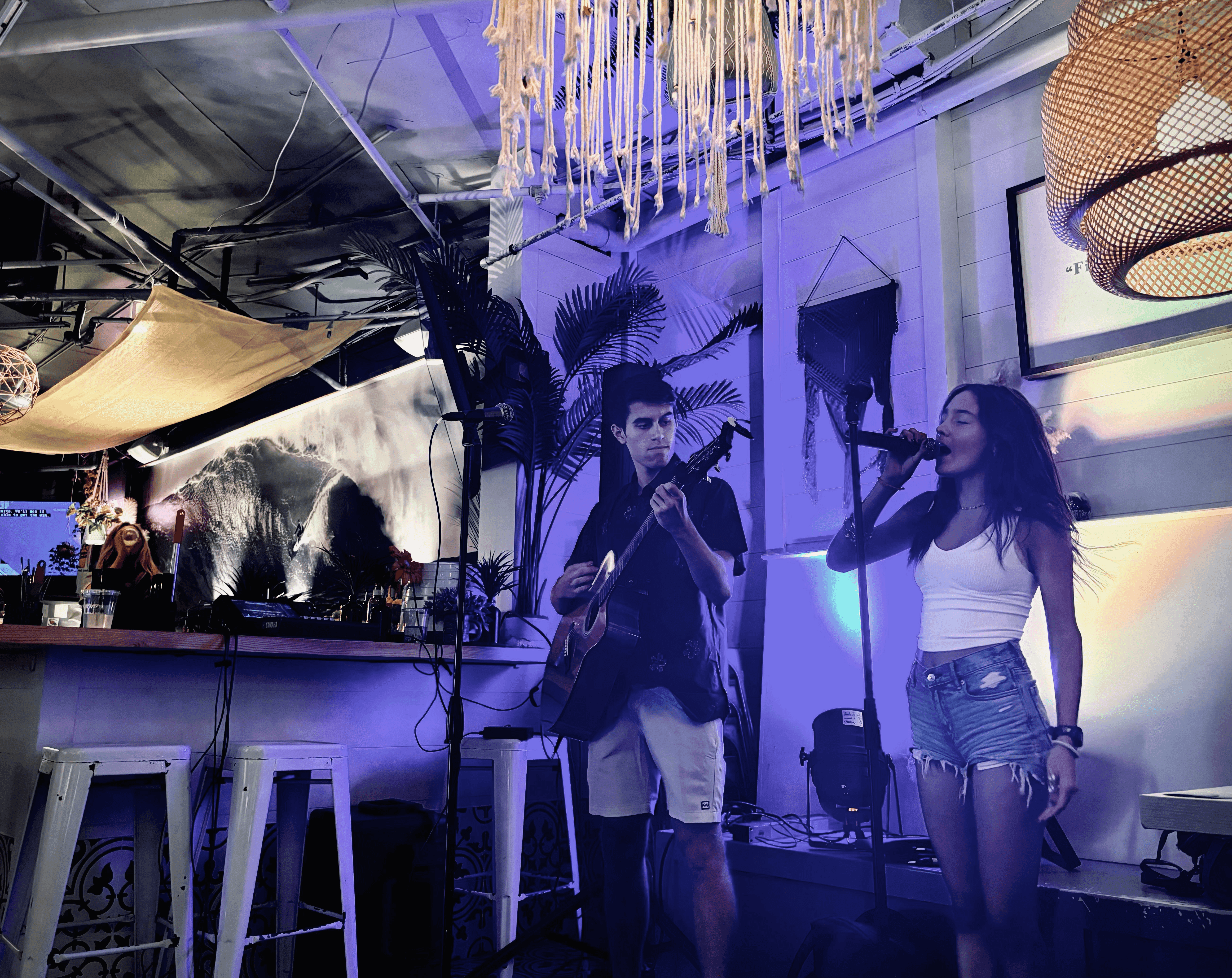 Live Performance 3